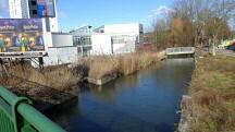 Blick auf den Mhlbach beim Traisenpark